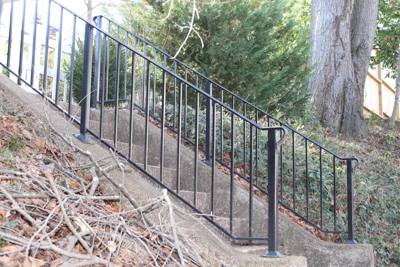 Black rails following narrow outdoor steps down a wooded slope
