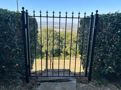 Narrow black spear-top garden gate between tall hedges