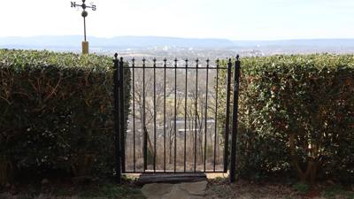 Narrow spear-top garden gate between clipped hedges
