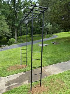 Tall black ladder with a projecting overhead frame standing on a lawn