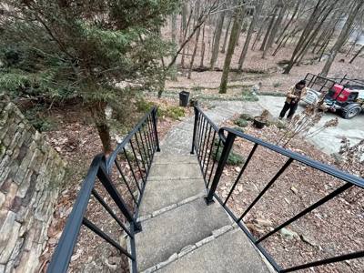 View down narrow concrete garden steps bordered by black handrails